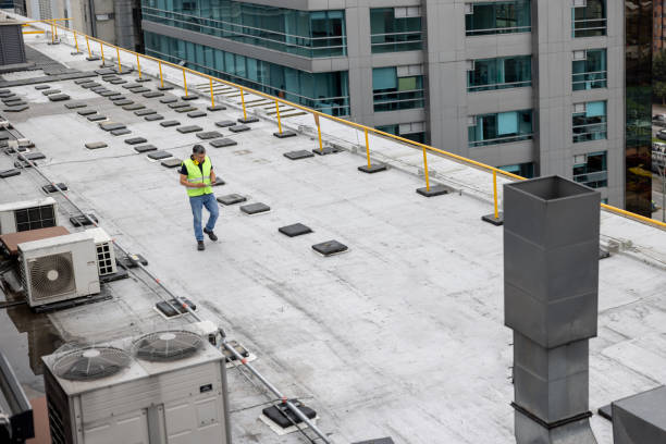 Best Roof Insulation Installation  in Port Wentworth, GA