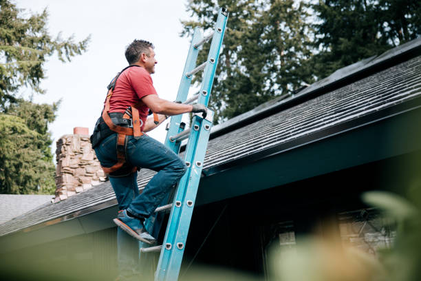 Best Skylight Installation and Repair  in Port Wentworth, GA